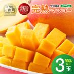 産完熟マンゴー 3玉