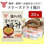 フリーズドライまろやか豚汁 20食分 お湯を注ぐだけ