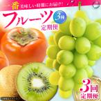 旬のフルーツ定期便 シャインマスカット