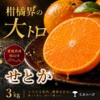 せとか 3kg