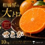 せとか 10kg