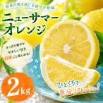 ニューサマーオレンジ 2kg