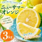 ニューサマーオレンジ 3kg