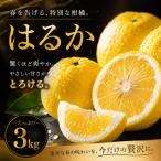 はるか 3kg