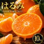 はるみ 10kg