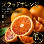 ブラッドオレンジ 5kg