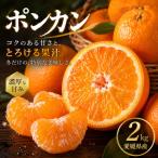 ポンカン 2kg