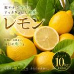 イエロー レモン 10kg