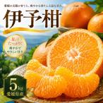 伊予柑 5kg