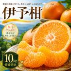 伊予柑 10kg