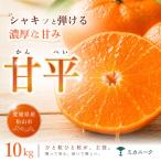 せとか 10kg