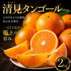清見タンゴール 2kg