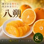 八朔 8kg