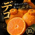 不知火 デコポン と同品種 10kg