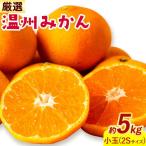 みかん 温州みかん 5kg