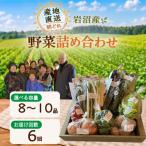 朝どれ 新鮮野菜 8~10種類 詰め合わせ セット