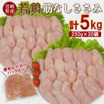 若鶏筋なしささみ 5kgセット 250g×20袋