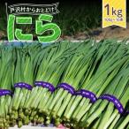 fu.... налог Yamagata префектура дверь .. производство ..1kg(10 пачка ) 2026 год 5 месяц последняя декада из последовательный отправка местного производства овощи .... чесночный лук кулинария гёдза .. предмет ежедневное блюдо дом семья F7W-0336 Yamagata префектура дверь ..