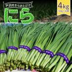 fu.... налог Yamagata префектура дверь .. производство ..4kg(40 пачка ) 2026 год 5 месяц последняя декада из последовательный отправка местного производства овощи .... чесночный лук кулинария гёдза .. предмет ежедневное блюдо дом семья F7W-0339 Yamagata префектура дверь ..