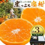ご 崖っぷち蜜柑 約3kg