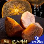 柿 秀品 紀の川柿 約3kg