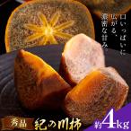 柿 秀品 紀の川柿 約4kg