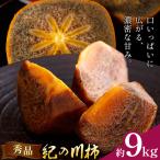 柿 秀品 紀の川柿 約9kg