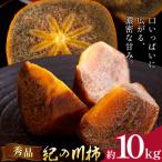 柿 秀品 紀の川柿 約10kg