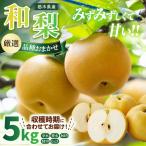 梨 食べ比べ 約5kg