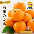 小さな 有田 みかん S以下 10kg+250g