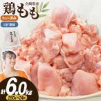 鶏肉 もも 切身 IQF 若鶏 カット 250g