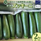 fu.... налог .. .. длина свежий кабачок 2kg ( примерно 6~1 2 шт ) [BT003tu] Gunma префектура ...