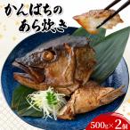 カンパチのあら炊き 500g×2個