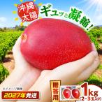 完熟マンゴー 1kg