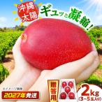 マンゴー 太陽のめぐみ 2kg