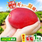 fu.... налог [ есть перевод ] манго солнце. ...1kg BCEW003 Okinawa префектура Okinawa город 