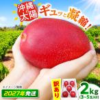 マンゴー 太陽のめぐみ 2kg
