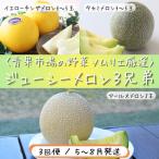 青果市場の野菜ソムリエ厳選 ジューシー
