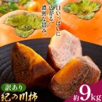 訳あり 柿 紀の川柿 約9kg