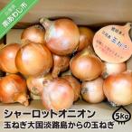 fu.... налог Awaji Island высшее . лук Charlotte oni on [5kg] шар лук порей большой страна Awaji Island c шар лук порей Hyogo префектура юг ... город 