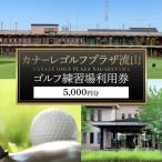 ゴルフ 練習場 利用券 カナーレゴルフプラザ流山 5000円分