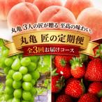 地域のお礼の品 フルーツ定期便 丸亀讃美果