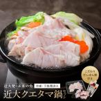 近大クエタマ鍋セット500g 2027年2月上旬~