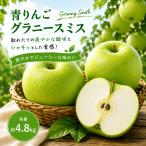 青りんご グラニースミス 約4.8kg