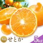 せとか 秀品 5kg