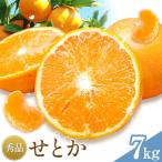 せとか 秀品 7kg