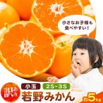 訳あり 小玉若野みかん 2S-3Sサイズ 約5kg