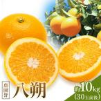 八朔 ハッサク 約10kg