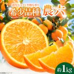 みかん 農六 約1kg