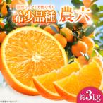 みかん 農六 約3kg